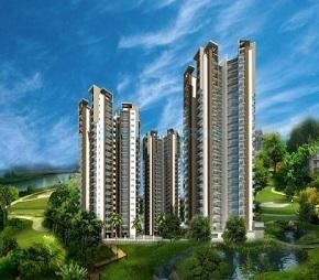 3 BHK Apartment For Resale in Town Park White Orchid Noida Ext Sector 16c Greater Noida  6194282