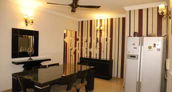 3.5 BHK Apartment For Rent in Unitech The World Spa Sector 30 Gurgaon 6194569