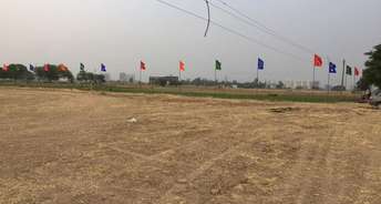  Plot For Resale in Sector 74 A Mohali 6194637