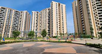 3 BHK Penthouse For Resale in Charholi Budruk Pune 6195387