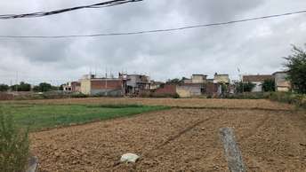  Plot For Resale in Sector 89 Faridabad 6195393
