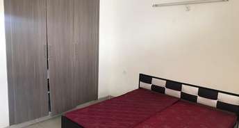 3 BHK Apartment For Rent in NK Sharma Savitry Greens 2 Lohgarh Zirakpur 6195485