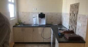 3 BHK Villa For Rent in SKA Metro Ville Gn Sector Eta ii Greater Noida 6195642