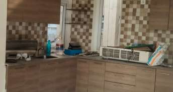 3 BHK Apartment For Rent in Tulip Violet Sector 69 Gurgaon 6195751