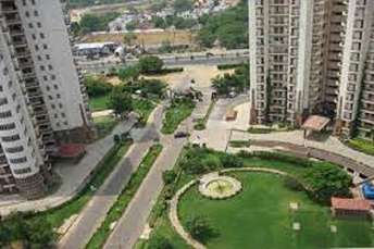 2.5 BHK Apartment For Rent in Mg Road Gurgaon 6195818