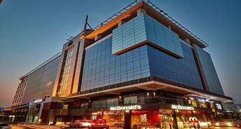 Commercial Office Space 5500 Sq.Ft. For Rent In Sector 49 Gurgaon 6196100