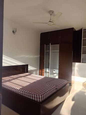 3 BHK Apartment For Rent in DDA Flats Vasant Kunj Vasant Kunj Delhi 6196283