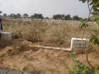  Plot For Resale in Mullanpur Chandigarh 6196276