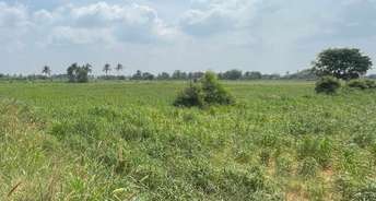 Commercial Industrial Plot 6070 Sq.Mt. For Rent In Devanahalli Bangalore 6089715