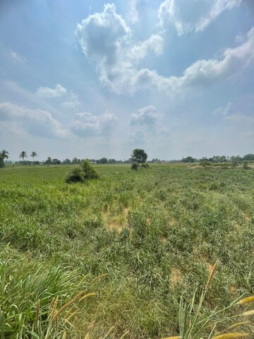 Plot Area in  Industrial Plot at Devanahalli – for Rent
