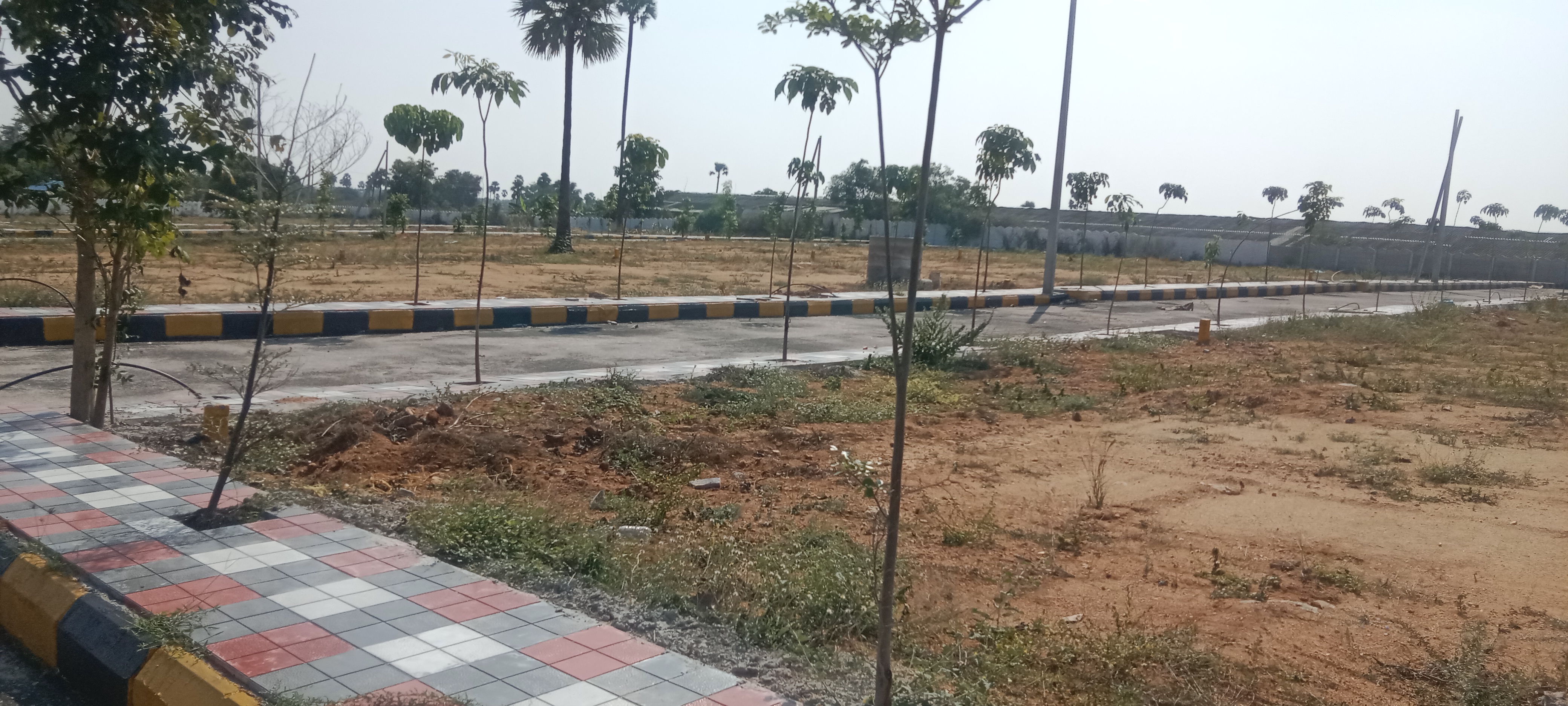  Plot For Resale in Ashok Nagar Hyderabad 6196917