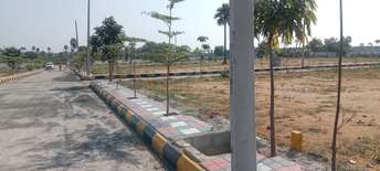  Plot For Resale in Bachupally Hyderabad 6197162