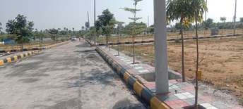  Plot For Resale in Baghlingampally Hyderabad 6197173