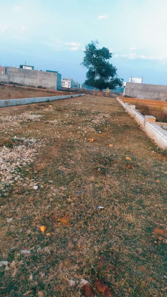 Plot For Resale in Faizabad Road Lucknow  6198593