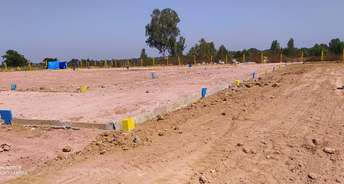  Plot For Resale in ND Orchid Sarjapur Bangalore 6197942