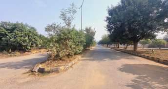  Plot For Resale in Sector 23 Dharuhera 6199209