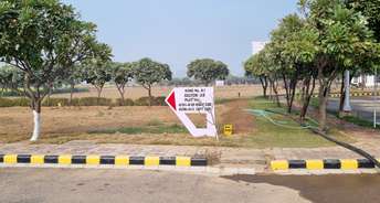  Plot For Resale in Sector 23 Dharuhera 6199333