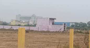  Plot For Resale in Sector 31 Faridabad 6199393
