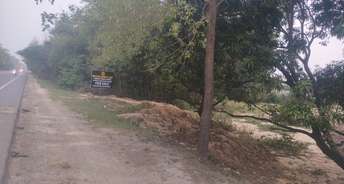 Commercial Land 5001 Sq.Ft. For Resale In Sitapur Road Lucknow 6199803