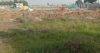  Plot For Resale in Sector 34 Sonipat 6199923