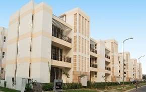4 BHK Independent House For Rent in Puri Vip Floors Sector 81 Faridabad 6200043