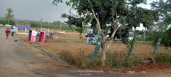  Plot For Resale in Anekal Bangalore 6099543