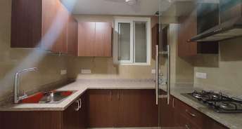 5 BHK Builder Floor For Rent in RWA Greater Kailash 2 Greater Kailash ii Delhi 6201030