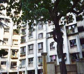 1 BHK Apartment For Rent in Neelganga Apartment Lower Parel Mumbai 6201249