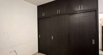 2 BHK Apartment For Rent in Oceanus Greendale Phase I Banaswadi Bangalore 6201517
