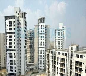 4 BHK Apartment For Rent in Vatika City Sovereign Sector 49 Gurgaon 6201951