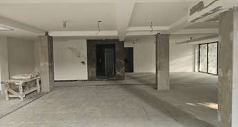 4 BHK Builder Floor For Resale in Suncity Gurgaon 6202045