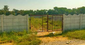 Commercial Land 484 Sq.Yd. For Resale In Rudraram Hyderabad 6202047