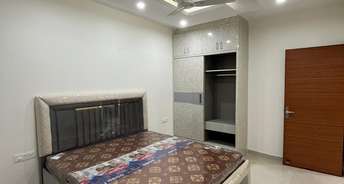 3 BHK Apartment For Rent in KharaR Banur Road Chandigarh 6202081