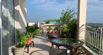 4 BHK Penthouse For Resale in Sector 66 Mohali 6202271