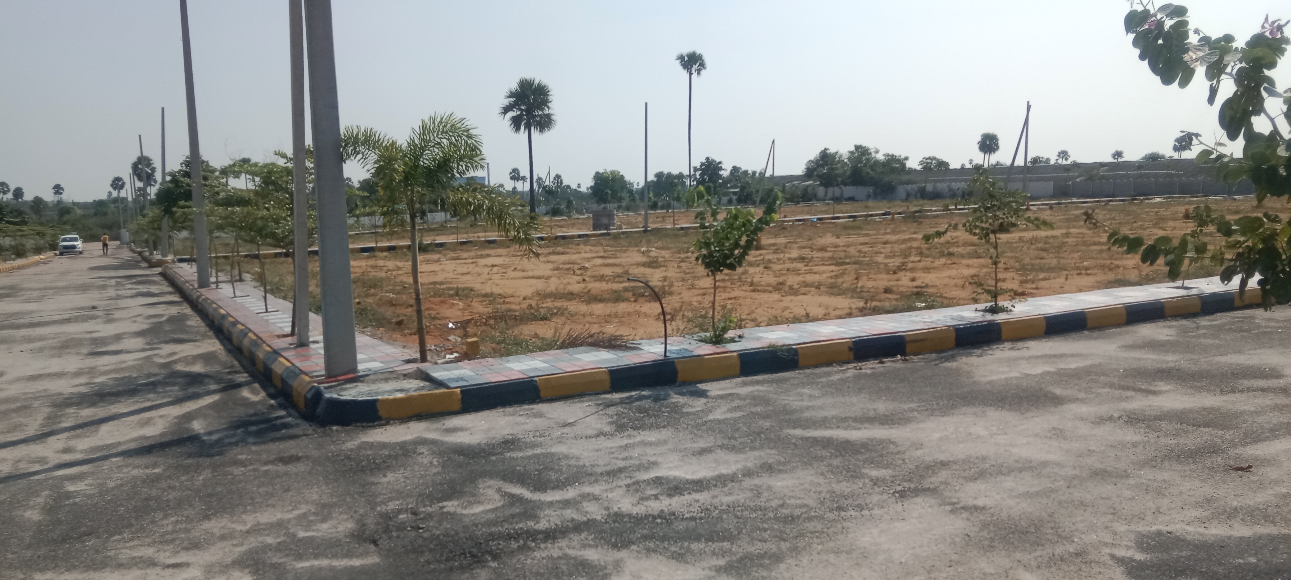 Plot For Resale in Hanamkonda Hyderabad  6202885