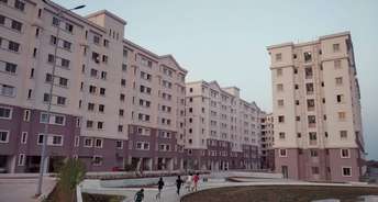 1.5 BHK Apartment For Resale in Xrbia Abode Jambhul Pune 6203127