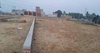 Commercial Land 1000 Sq.Ft. For Resale In Sitapur Road Lucknow 6203495