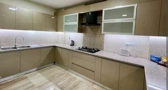 1 RK Builder Floor For Rent in Gautam Nagar Delhi 6203534