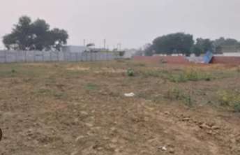  Plot For Resale in Sector 4 Gurgaon 6204496