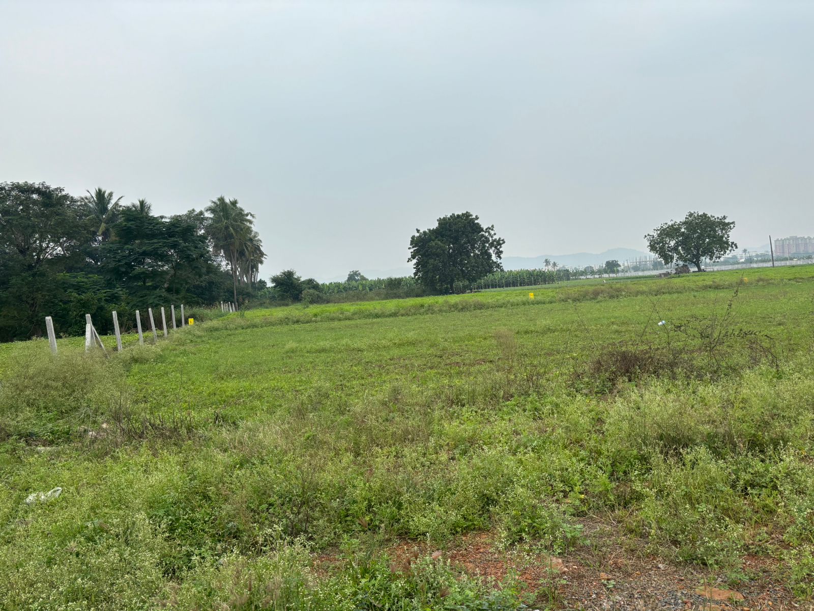 Plot For Resale in Kunchanapalli Vijayawada  6204734