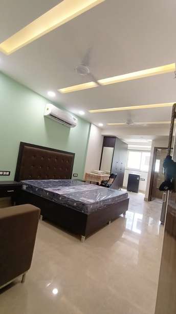 1.5 BHK Apartment For Rent in DLF Capital Greens Phase I And II Moti Nagar Delhi 6205360