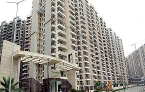 4 BHK Apartment For Resale in Gaur City 2   11th Avenue Noida Ext Sector 16c Greater Noida 6206112