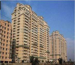 3 BHK Apartment For Rent in DLF Richmond Park Sector 43 Gurgaon 6206215