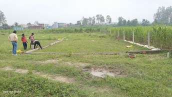 Plot For Resale in Shimla Bypass Road Dehradun  6206354