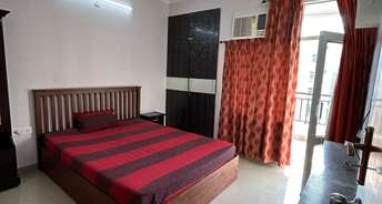 3 BHK Apartment For Rent in Amrapali Princely Estate Sector 76 Noida 6206519