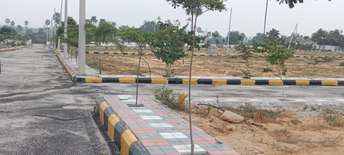  Plot For Resale in Aoc Gate Hyderabad 6206697