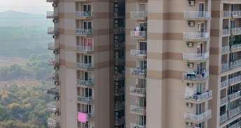 2 BHK Apartment For Rent in AIPL The Peaceful Homes Sector 70a Gurgaon 6207242