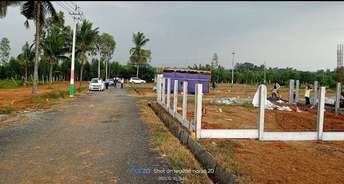  Plot For Resale in Anekal Bangalore 6207373
