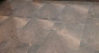2 BHK Builder Floor For Rent in Dayanand Colony Delhi 6207452
