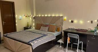 1 BHK Apartment For Rent in DLF Oakwood Estate Dlf Phase ii Gurgaon 6208636